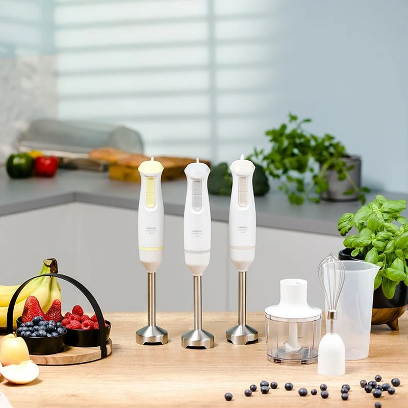 Mixeur plongeant submersible Zelmer ZHB4562L Blanc 800 W