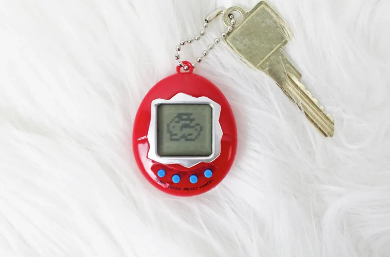 Pocket pet